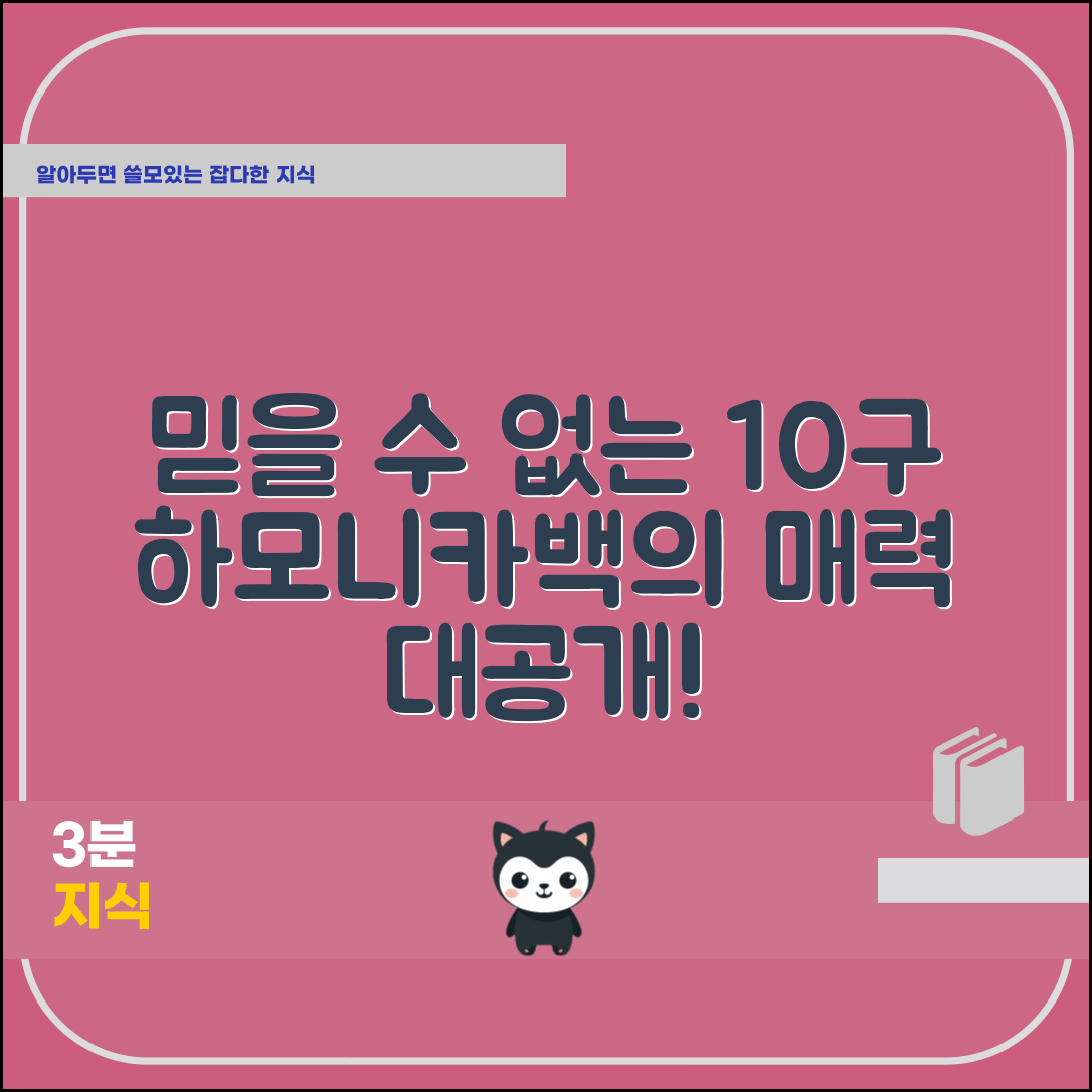 믿을 수 없는 10구하모니카가방의 매력!