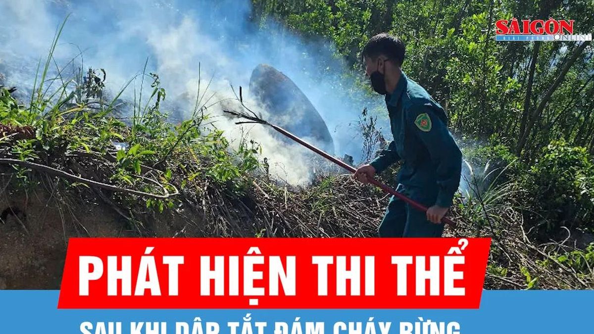 Phát hiện thi thể người đàn ông sau khi dập tắt đám cháy rừng - Báo Sài Gòn Giải Phóng
