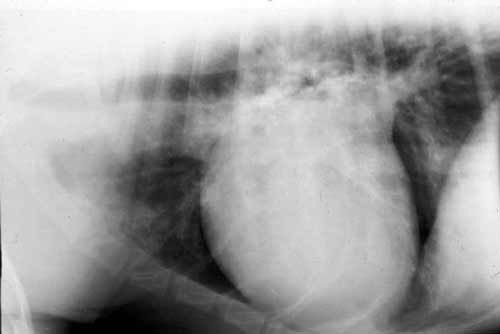 Question 44 image