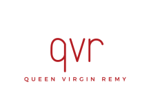 QVR INTERNATIONAL LLC logo