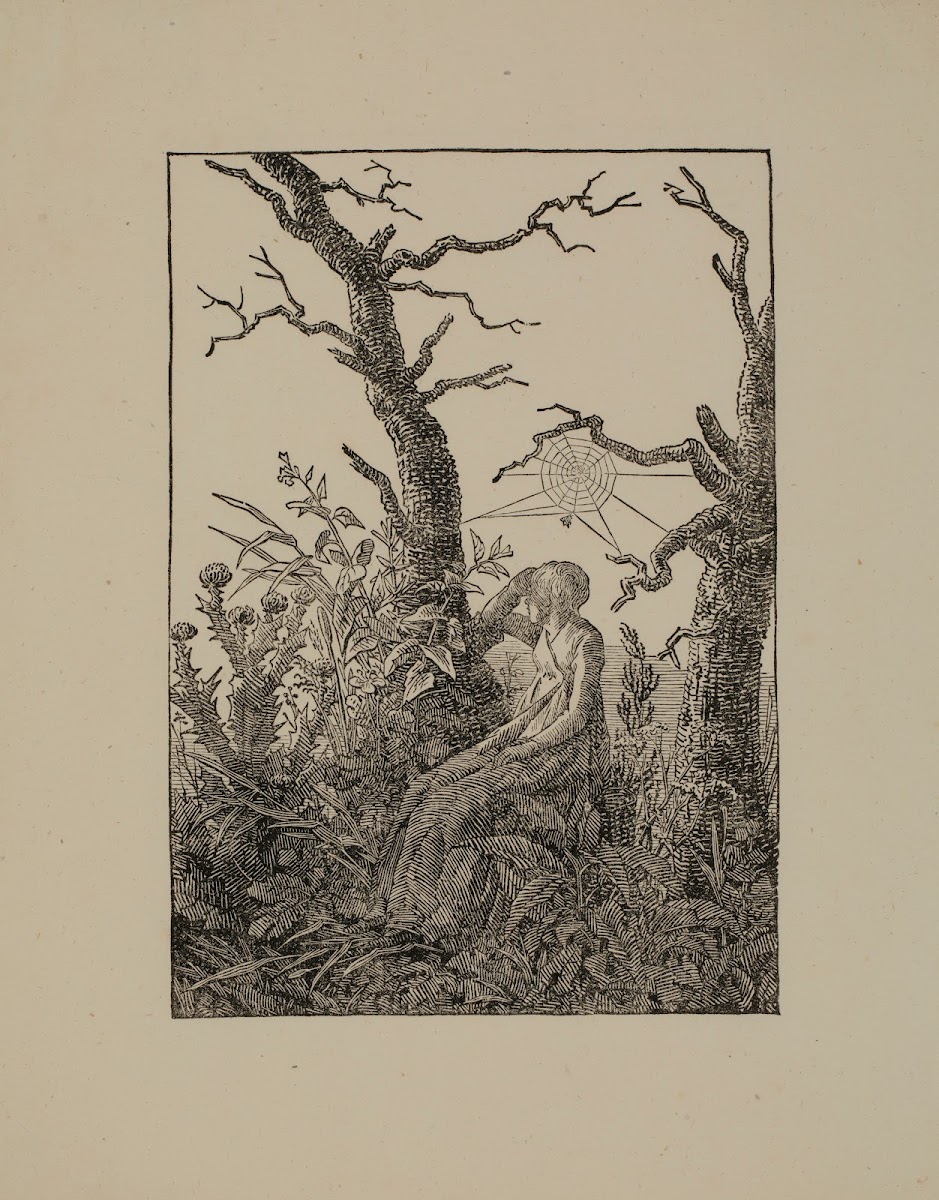 The Woman With The Spiders Web Between Bare Trunks Melancholy C180103
