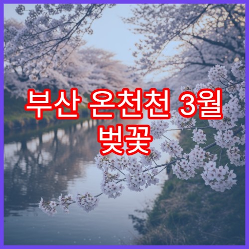 부산 온천천 3월 벚꽃 산책로 전 구간 정리