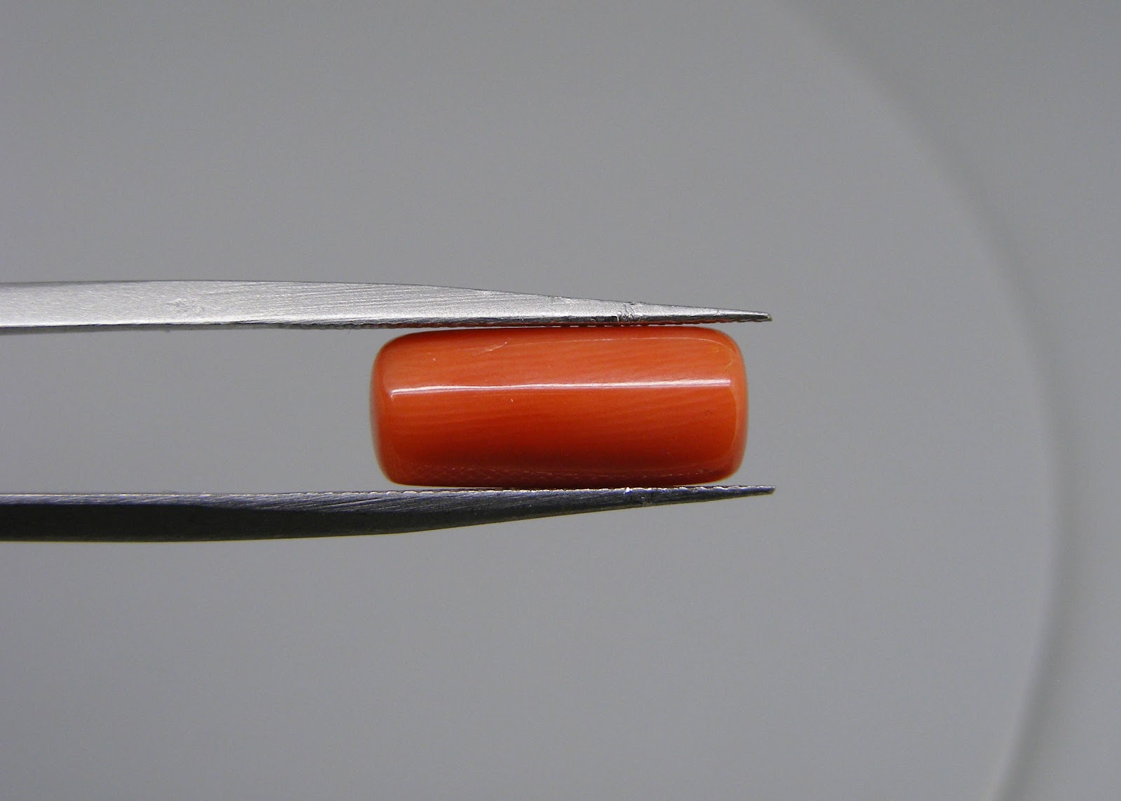 Natural Capsule Red Coral