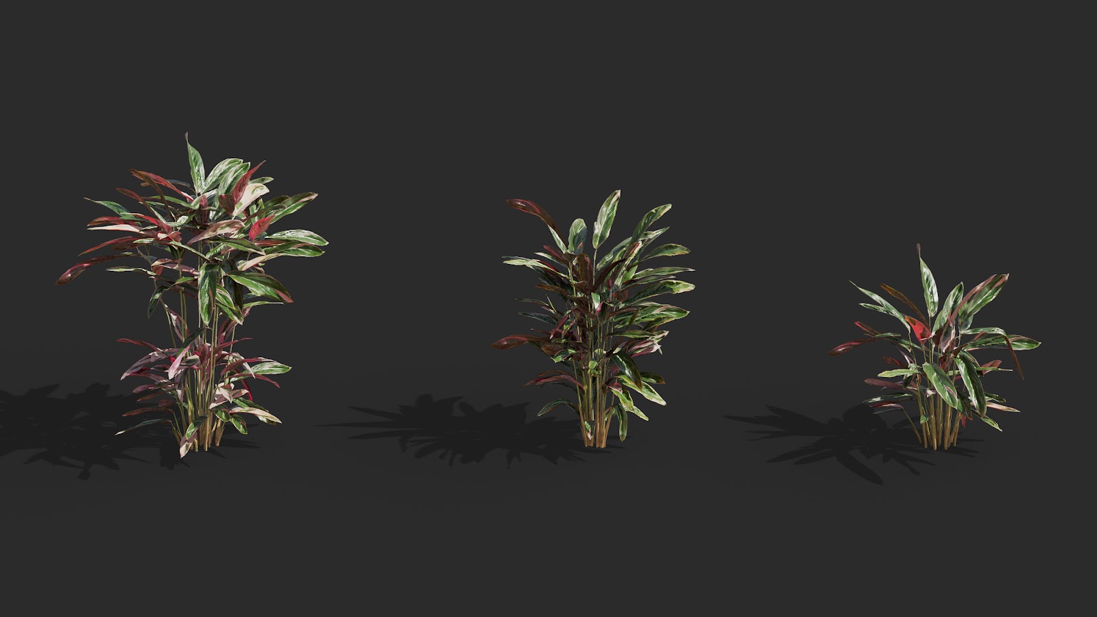 Maxtree - Plant Models Vol.62