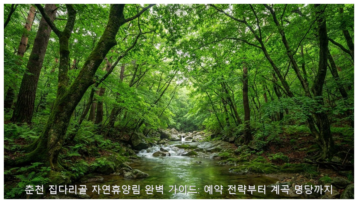 춘천 집다리골 자연휴양림 완벽 가이드: 예약 전략부터 계곡 명당까지 핵심 안내 및 분석 인포그래픽 (3)