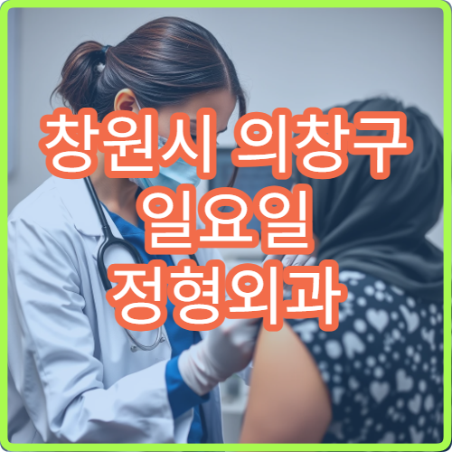 창원시 의창구 일요일 정형외과 진료 병원 관절통 치료 가능