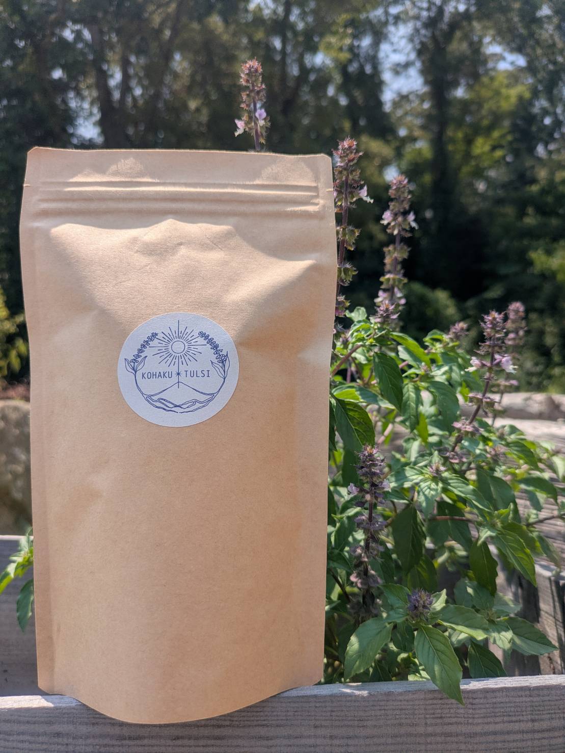 KOHAKU✴TULSIの画像１