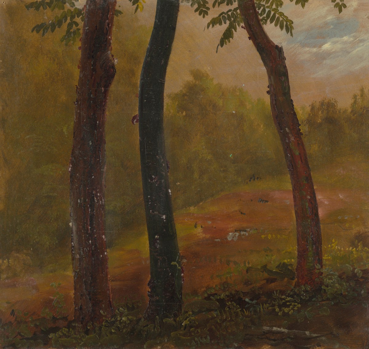 Woodland Scene Jamaica 1865