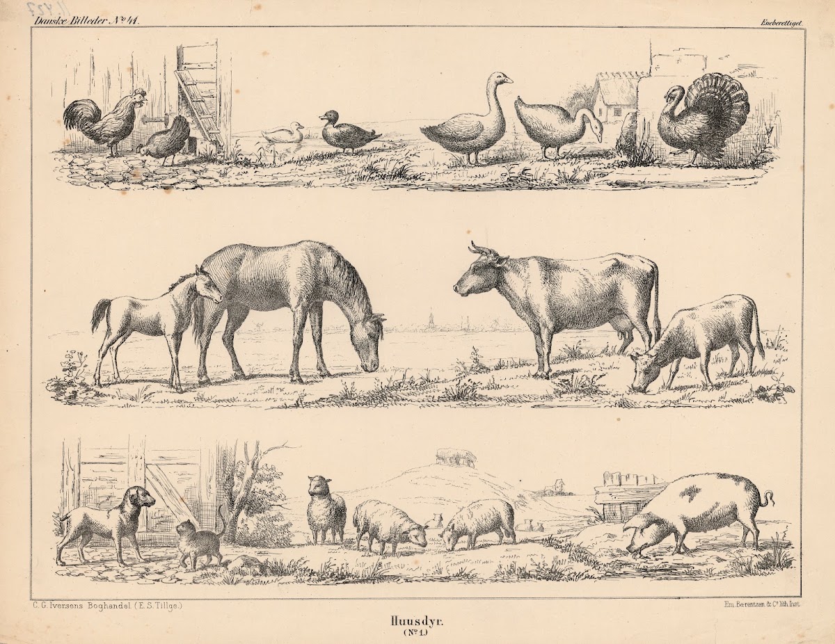 Huusdyr No 1 1863