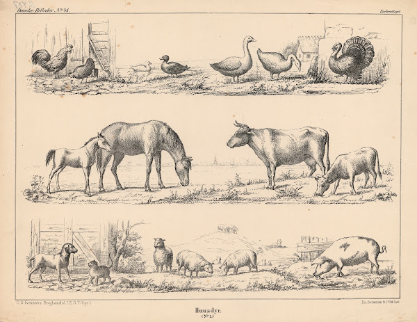 Huusdyr No 1 1863