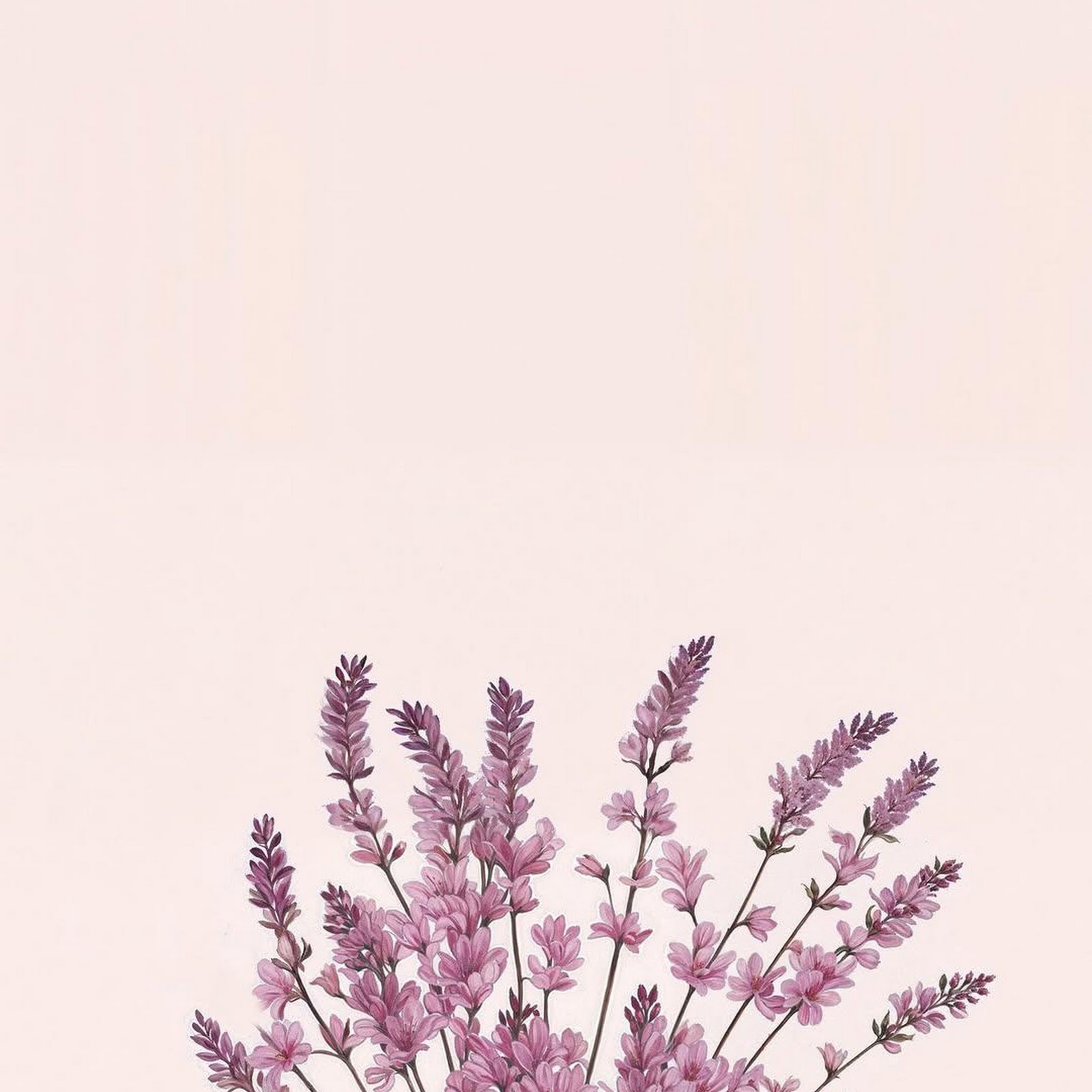 Download Lavender Bouquet With Pink Ribbon Full HD iPhone