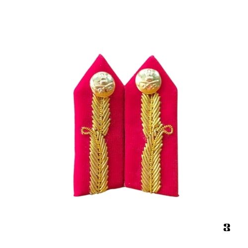COLLAR DOGS RED AND GOLDEN