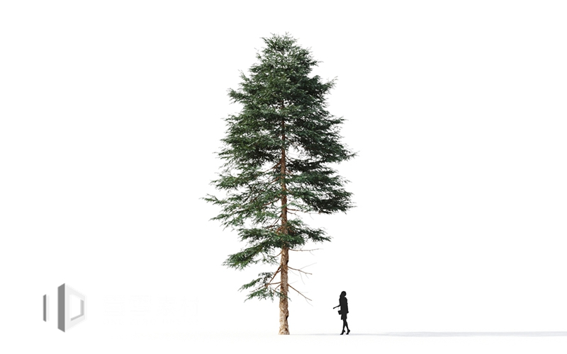 Maxtree - Plant Models Vol.9