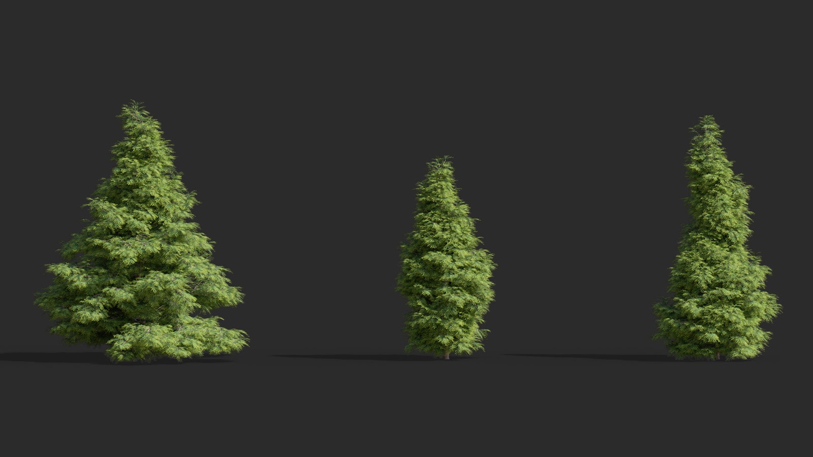 Maxtree - Plant Models Vol.63