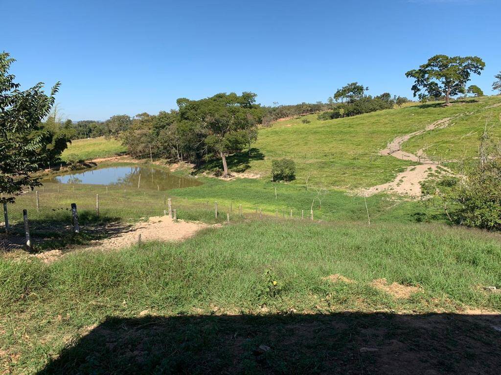 Sítio em Silvânia - GO 6