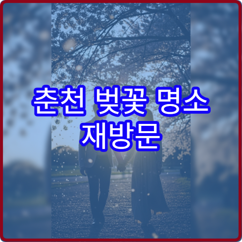 춘천 벚꽃 명소 재방문 이유 평일vs주말 솔직 후기 비교
