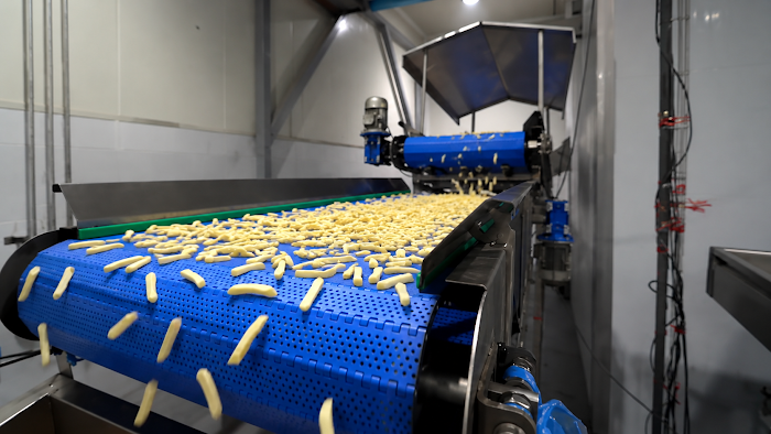 SANAM french fries line in operation