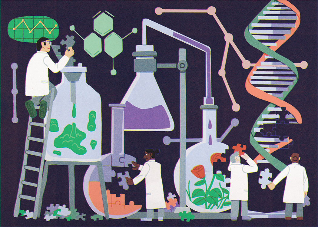 American Scientist commission by Yuki Murayama