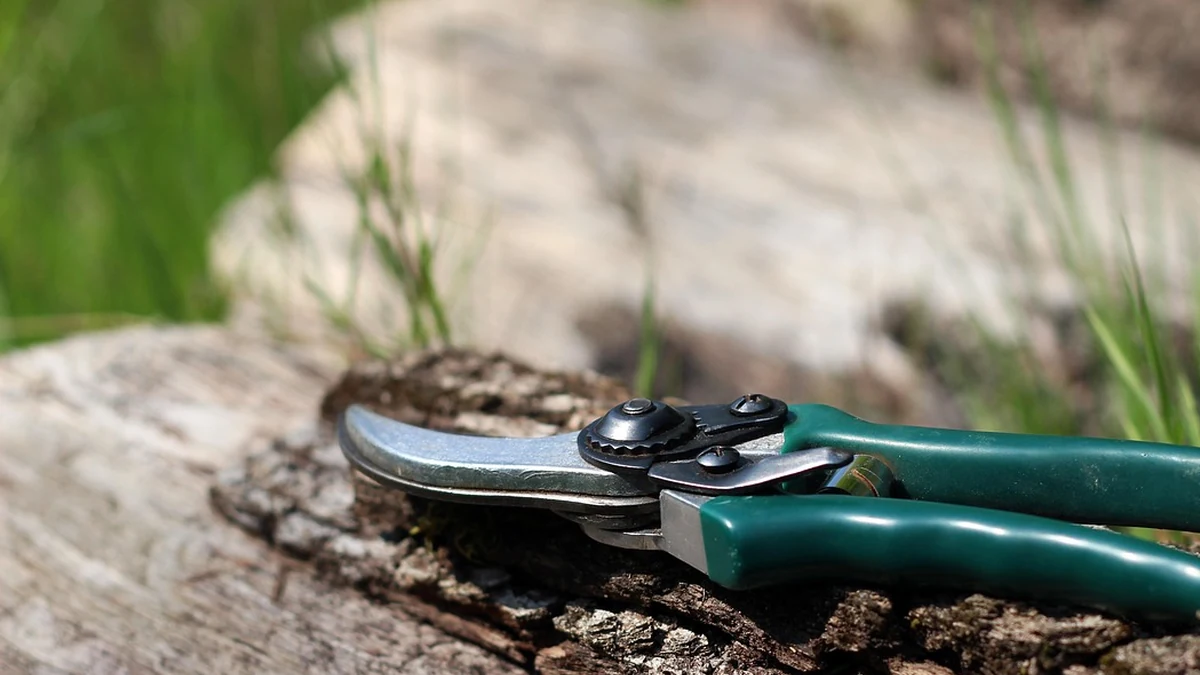 AI 모델 경량화 기술 구조와 주요 적용 사례 비교