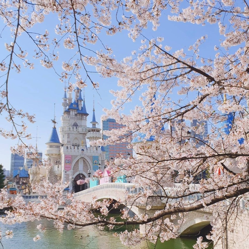 석촌호수 벚꽃과 호수 풍경