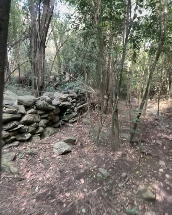 Jornada de Limpieza del Sendero “Las Pircas”! 💪🏻🪏🍃
