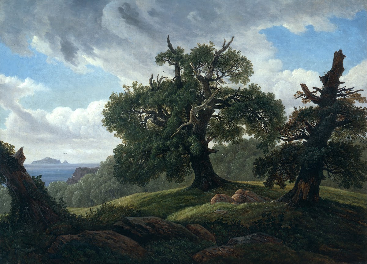 Memory of a Wooded Island in the Baltic SeaOak trees by the Sea