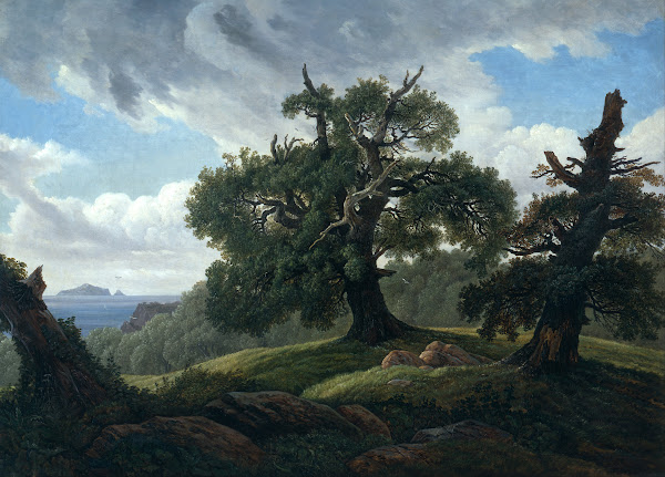 Memory of a Wooded Island in the Baltic SeaOak trees by the Sea