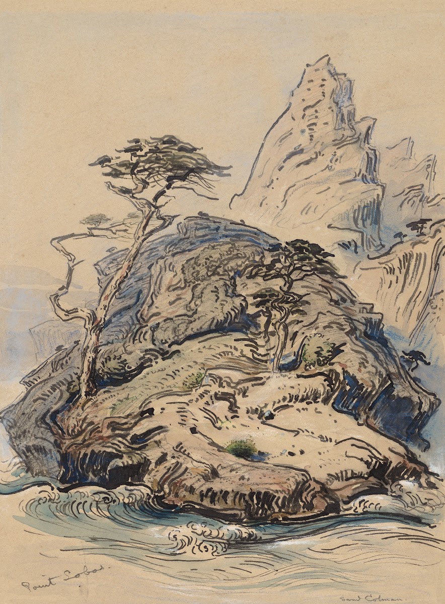 Point Lobos California probably 1886