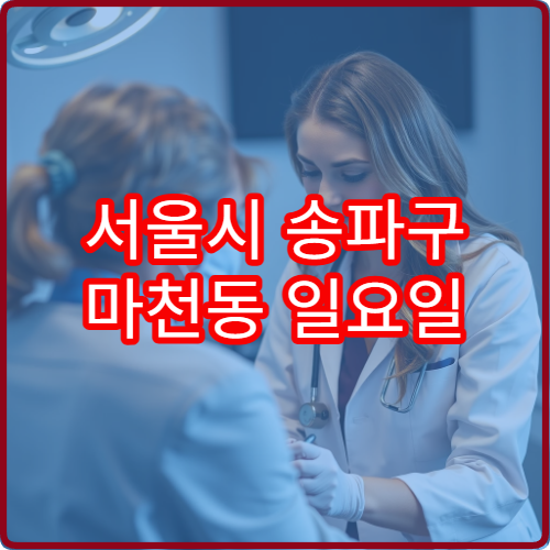 서울시 송파구 마천동 일요일 정형외과 진료 병원 근골격계