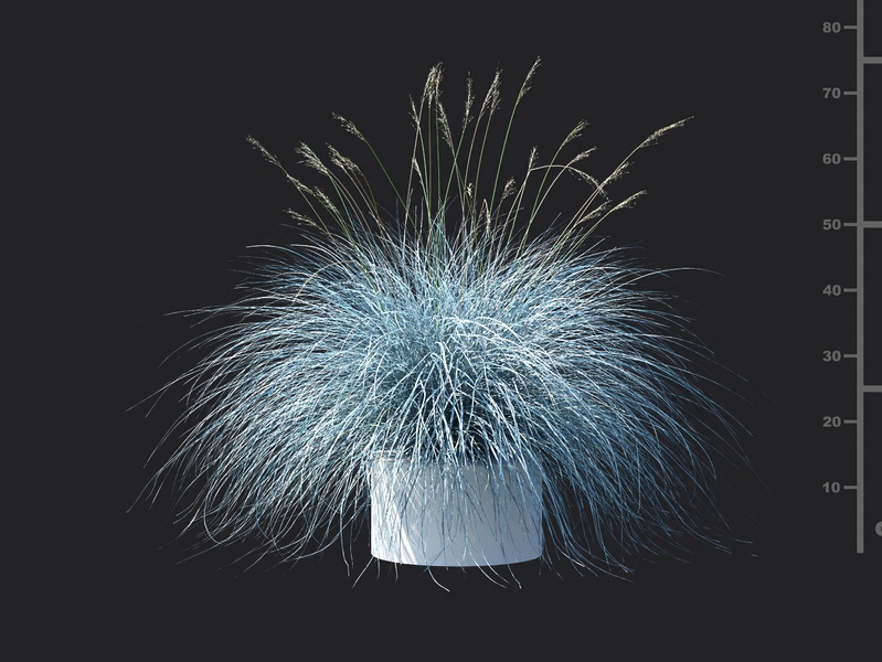 Maxtree - Plant Models Vol.115