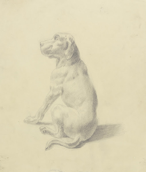 Sitting dog to the left