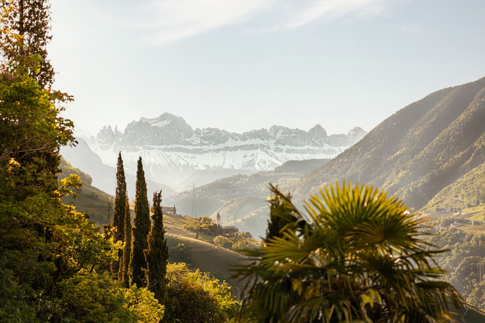 Alpine meets Mediterranean dining