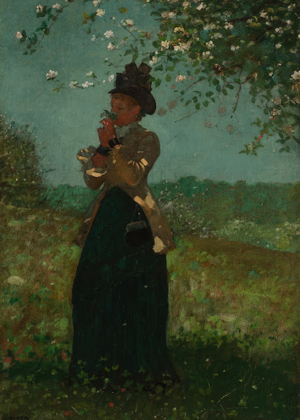 The Yellow Jacket 1879
