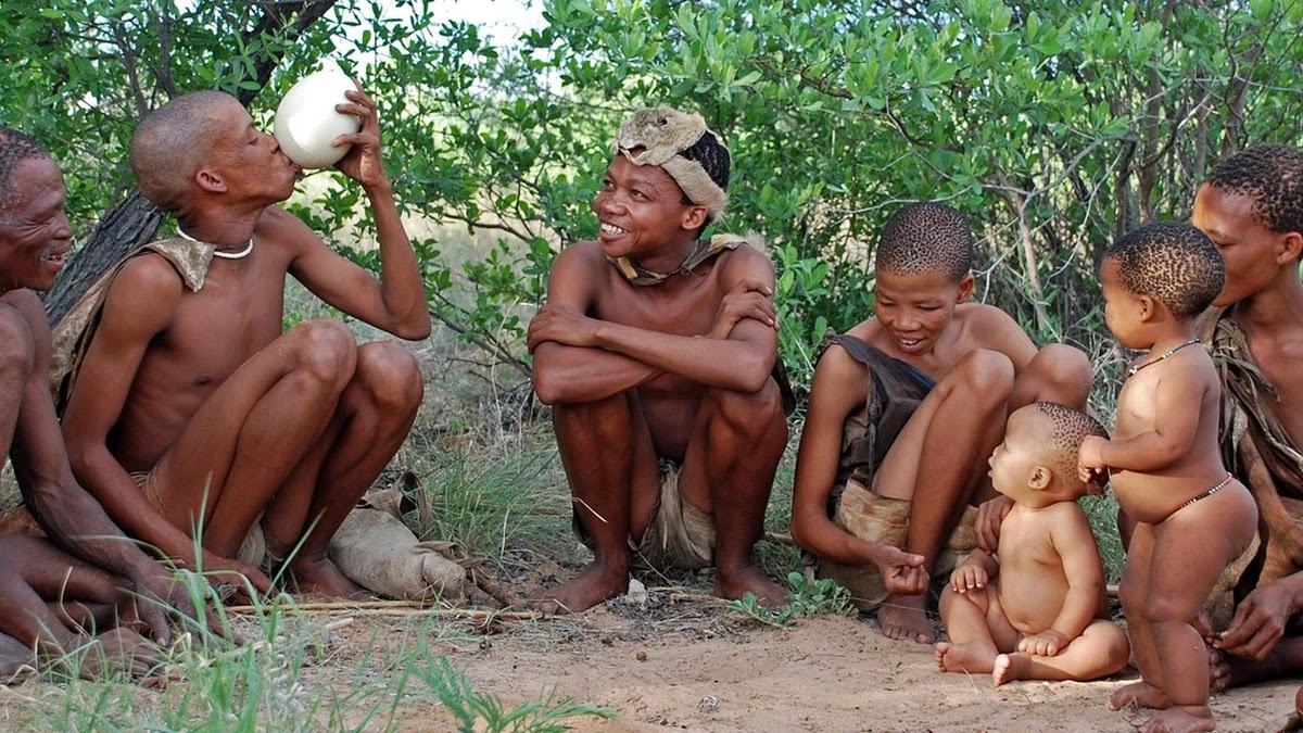 인류학적 시각에서 본 제도의 기원과 변화 과정
