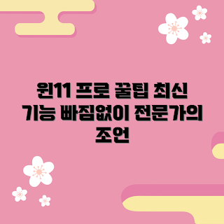 win11pro 추천, win11pro 기능, win11pro 활용법, win11pro는 무엇인가, win11pro 설치 방법
