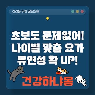연령별 요가, 요가 유연성, 유연성 향상, 초보 요가, 요가 효과