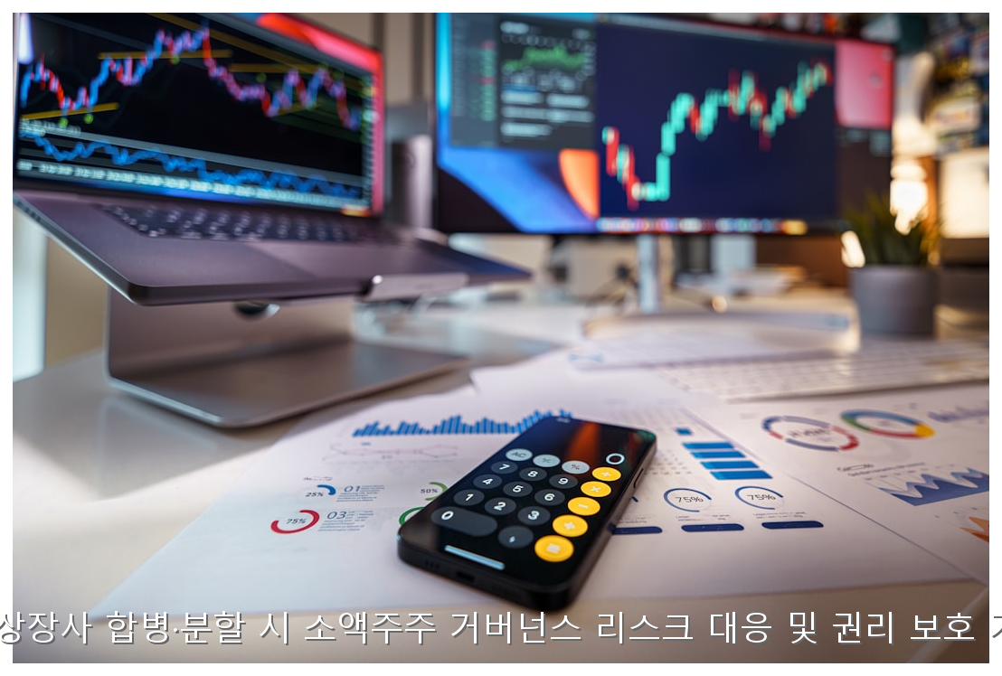 국내 상장사 합병·분할 시 소액주주 거버넌스 리스크 대응 및 권리 보호 가이드 핵심 안내 및 분석 인포그래픽 (6)