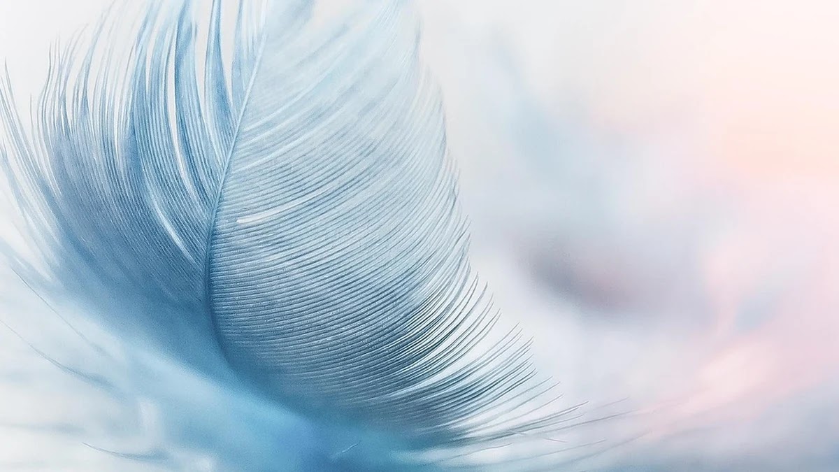 AI 모델 경량화 기술 개념과 최신 기법 비교 분석