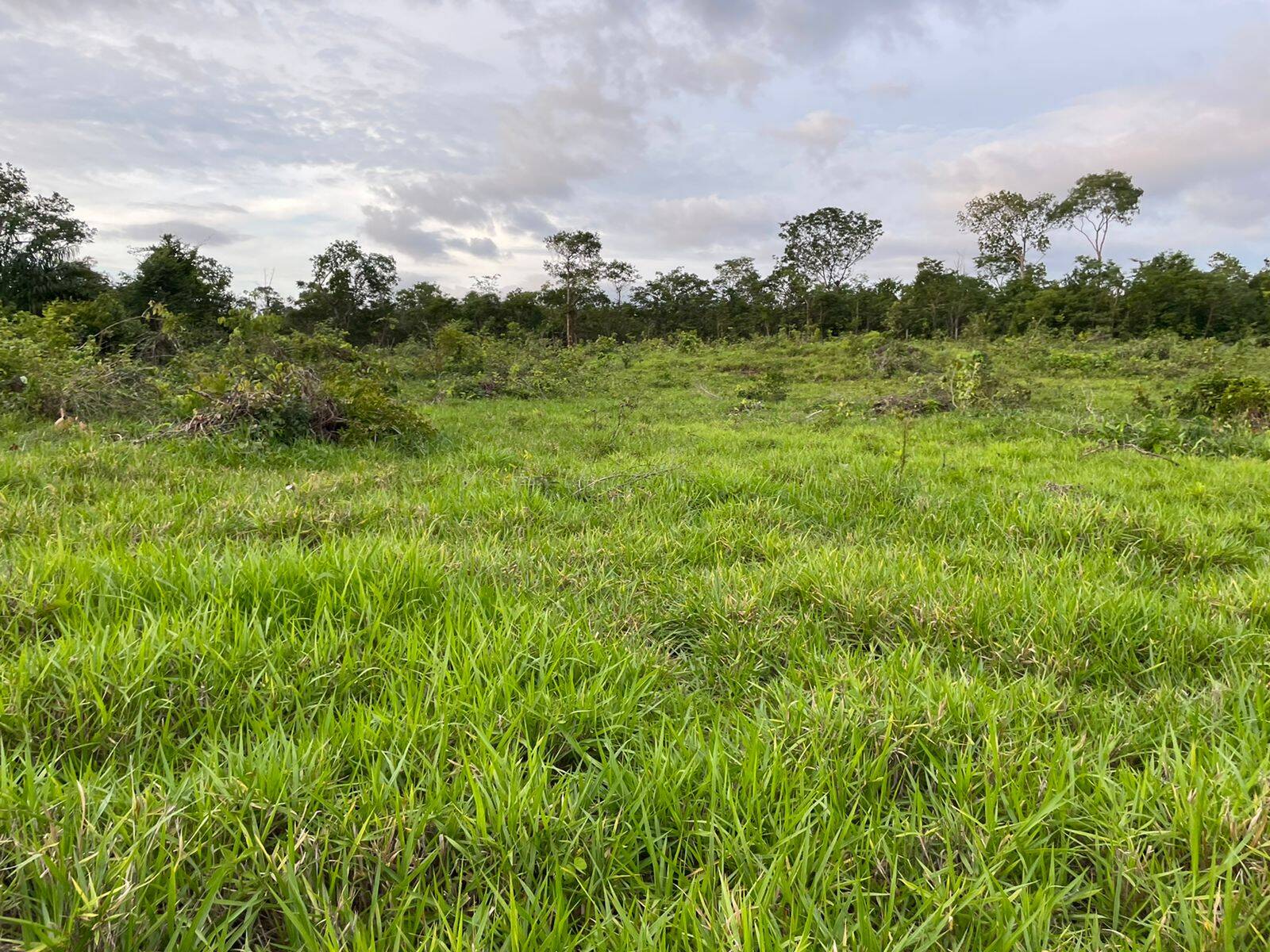 Fazenda em Campos Lindos - TO 6