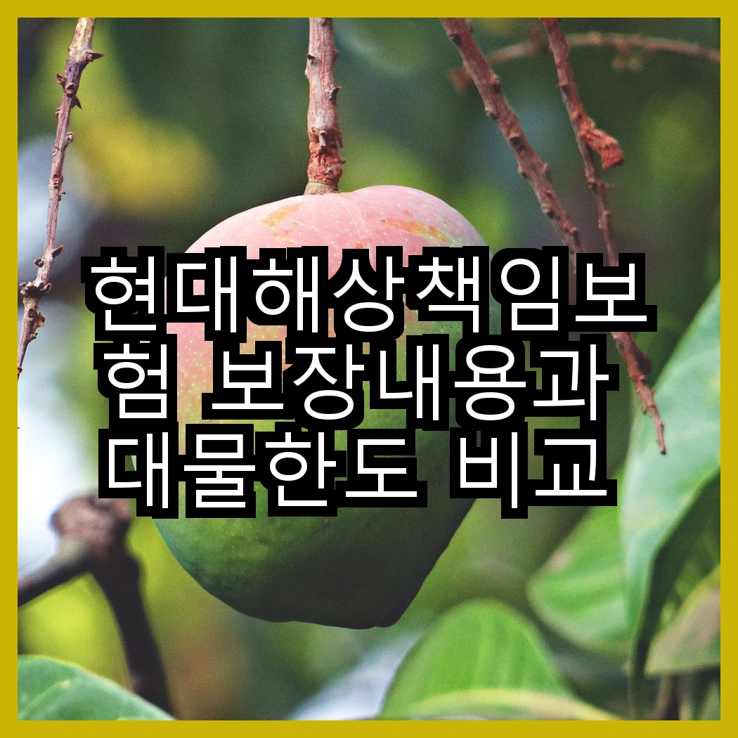 현대해상책임보험 보장내용과 대물한도 비교 분석 썸네일