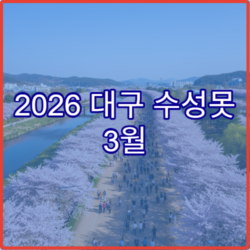 2026 대구 수성못 3월 주말 인파 실시간 앱으로 미리 확인하고 방문하기