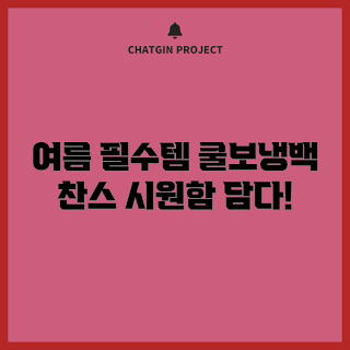 쿨포드보냉백, 여름 아이템, 쿨백, 냉장 가방, 여름 필수품