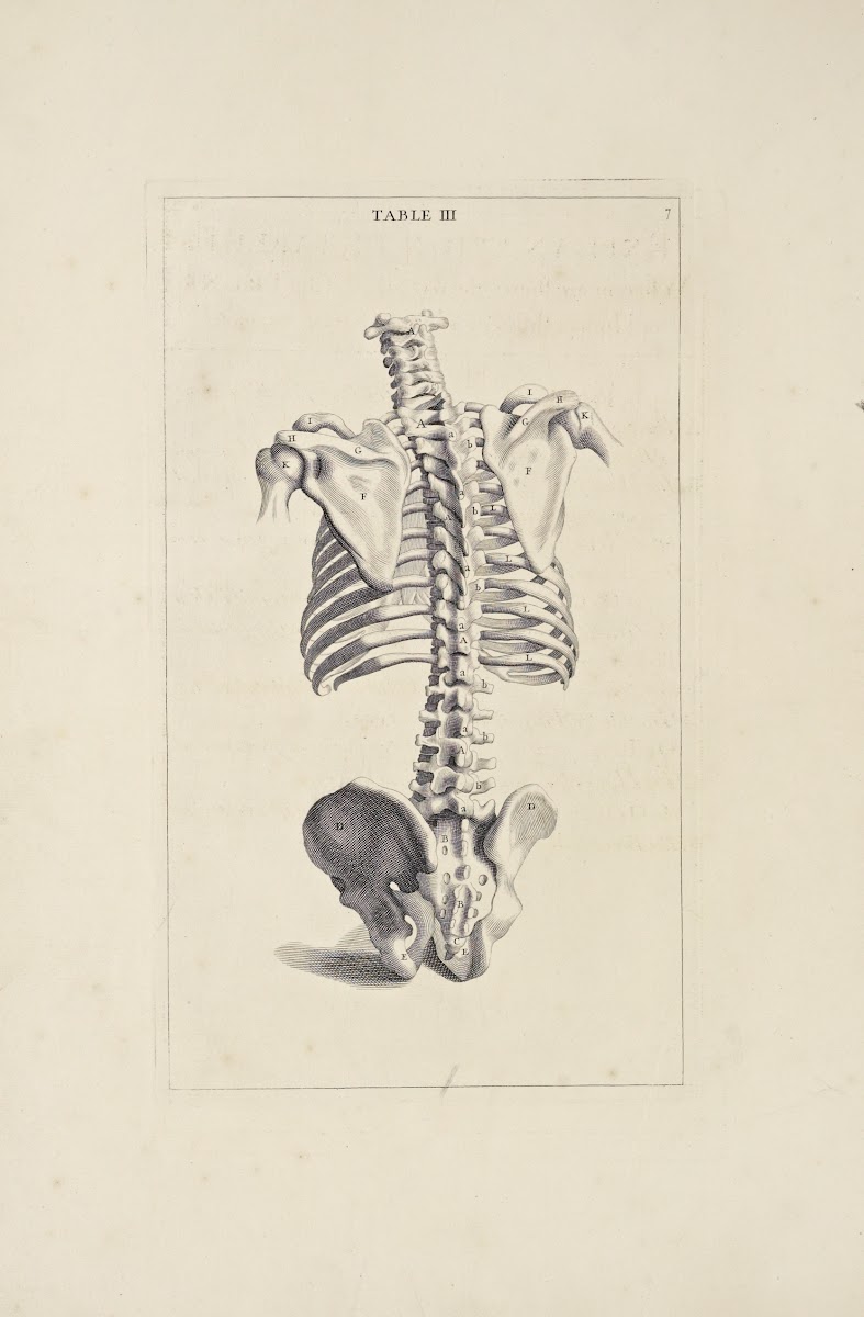 Anatomy improvd and illustrated with regard to the uses thereof in designing Pl0