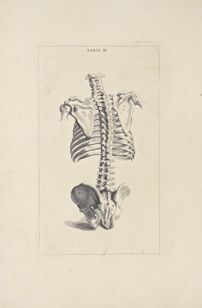 Anatomy improvd and illustrated with regard to the uses thereof in designing Pl0