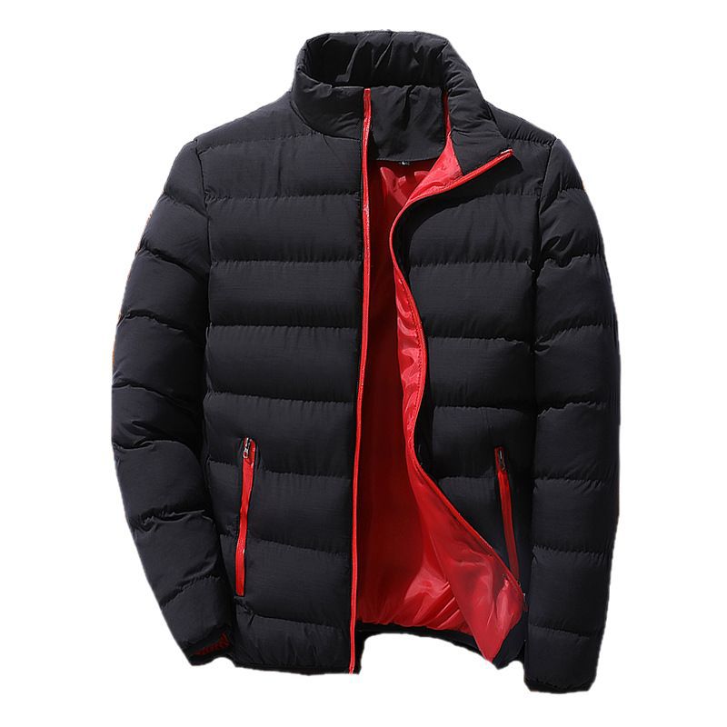 Men's quilted jacket, stand-up collar, padded, for outdoor