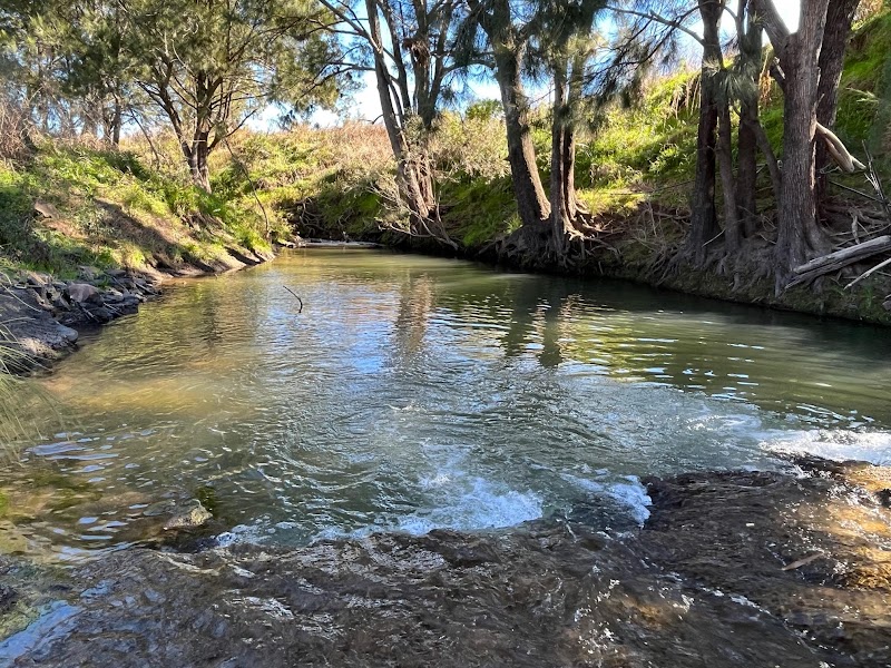 Yangan, QLD, 4371 realty