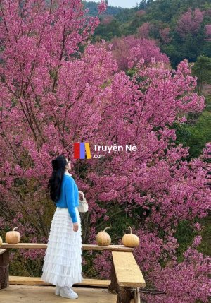 Quay Về Năm Nhất Thạc Sĩ