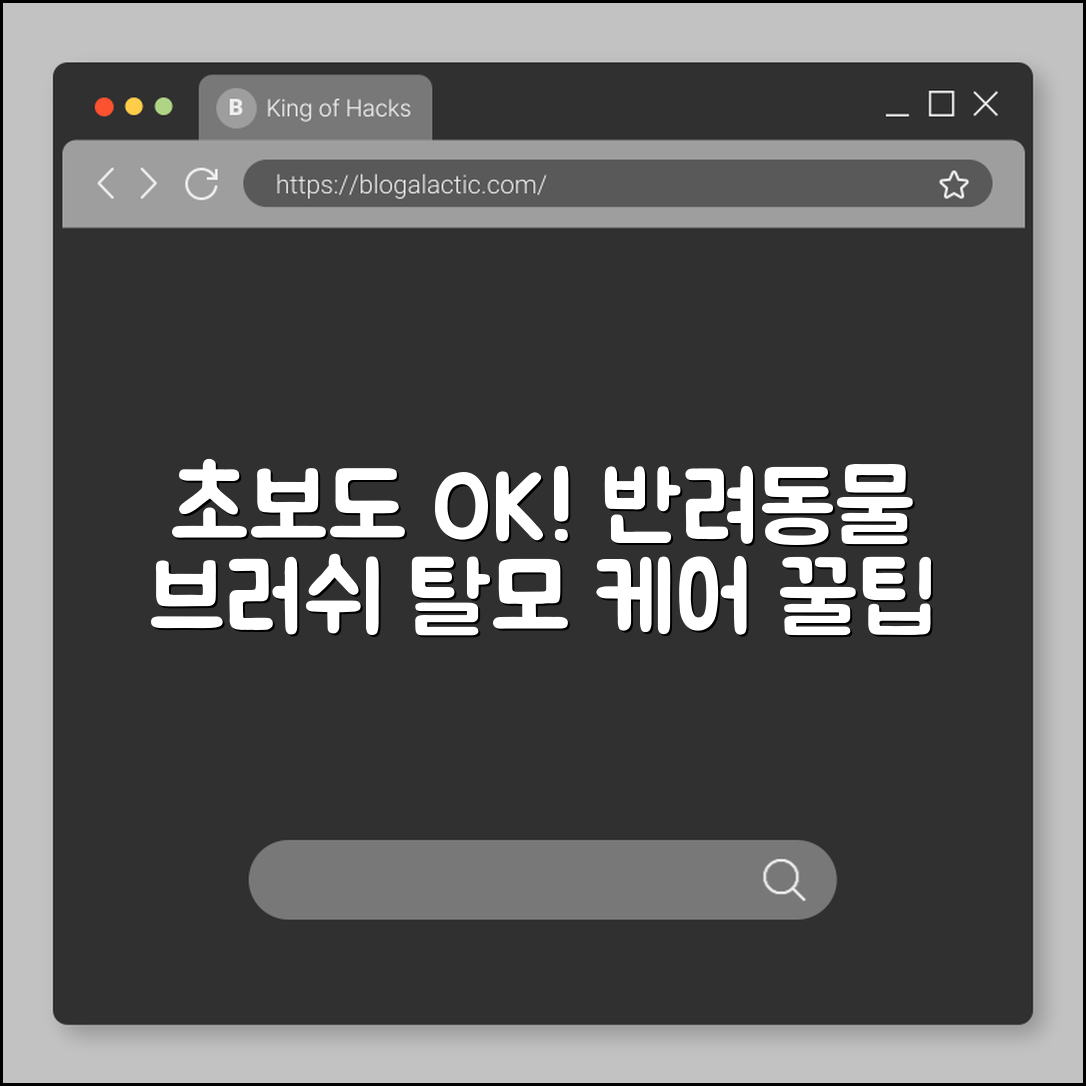초보자도 쉽게 이해하는 반려동물 브러쉬 탈모 케어