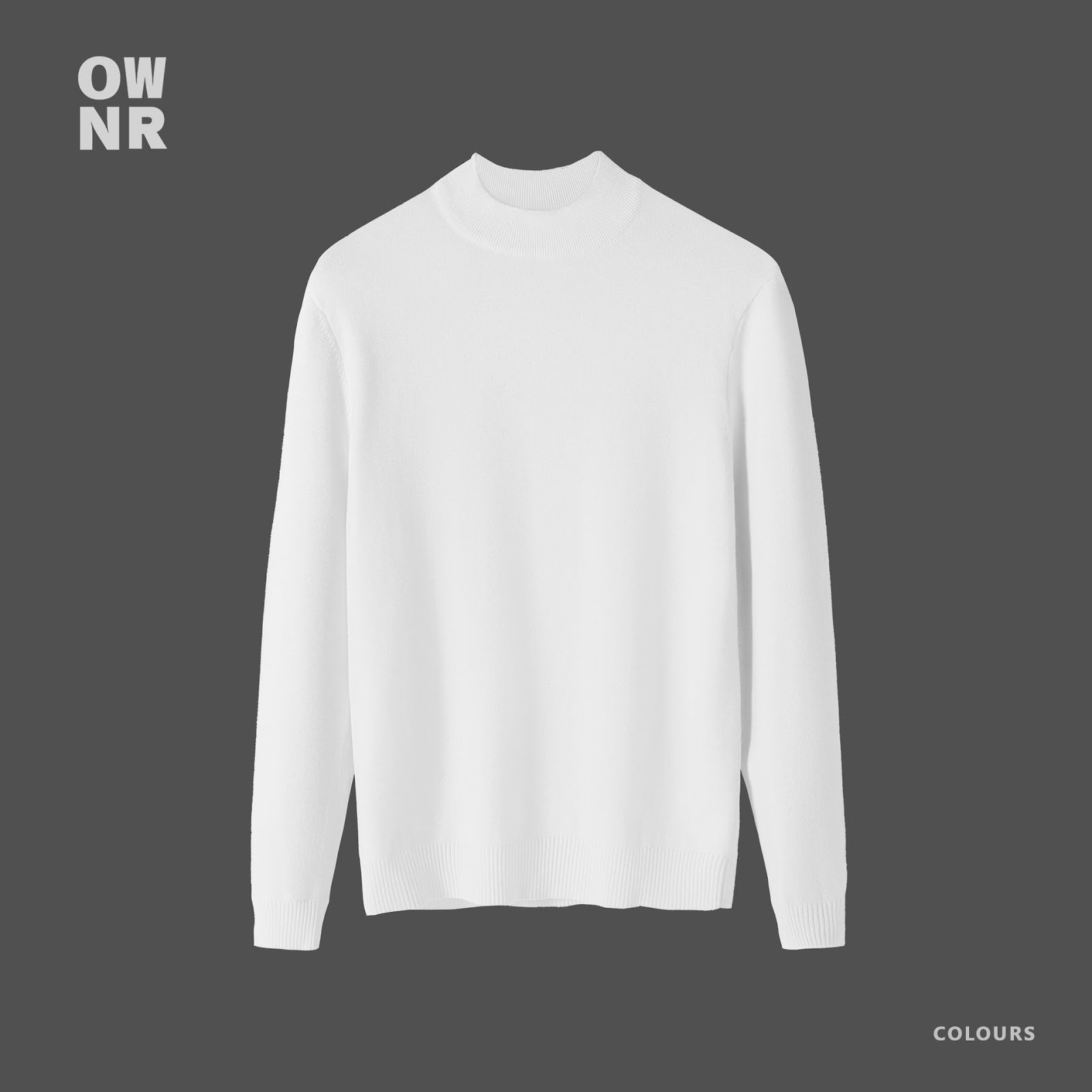 Men's knitted sweater, slim fit, roll neck