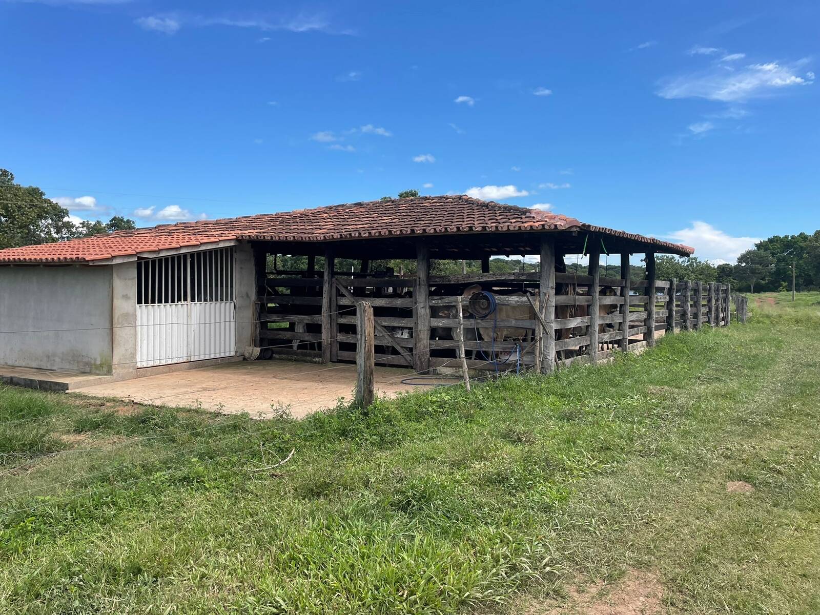 Sítio no Município de Porangatu - GO 10
